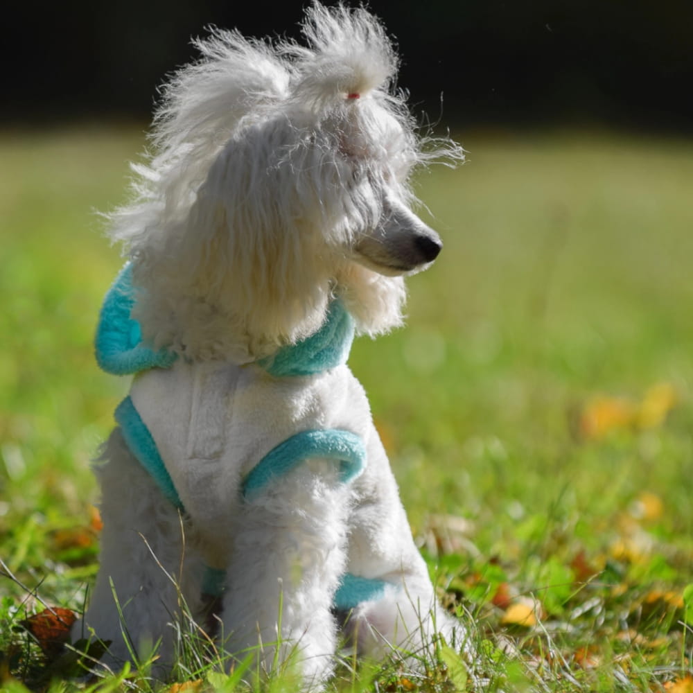 kremowy miętowy (1).jpg